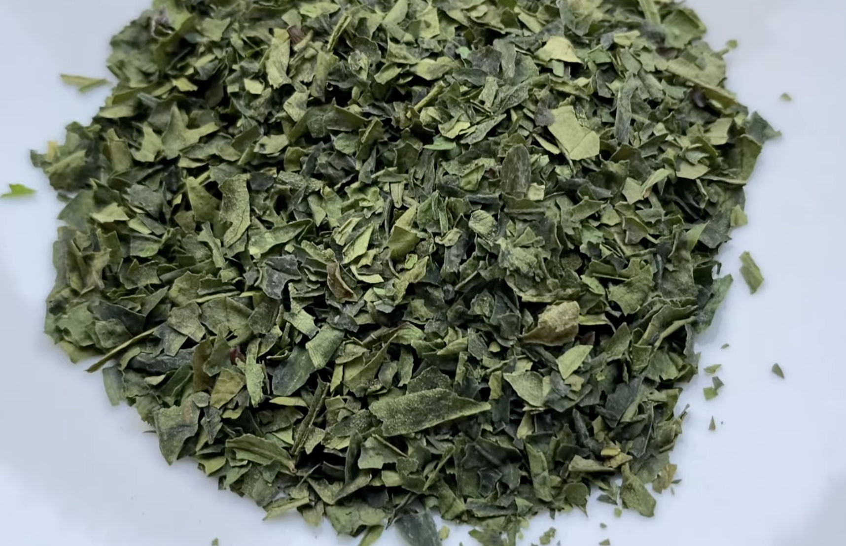 Sorting tencha and removing stems and veins